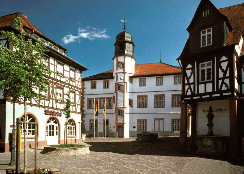 Stadtansicht von Alzey in Rheinland-Pfalz – Umzugsunternehmen und Umzugsfirmen vor Ort finden